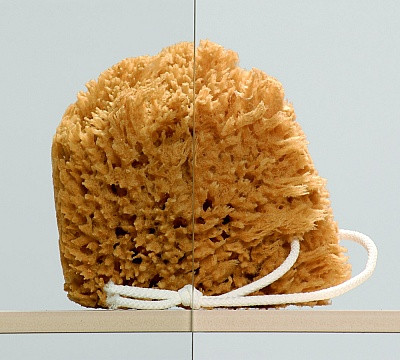 Premium Plus E1900 100x80 íves zuhanykabin átlátszó