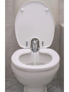 Toilette Nett bidé WC-ülőke 520T