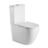 Wellis Sophia Rimless monoblokkos WC