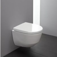 WC csésze
